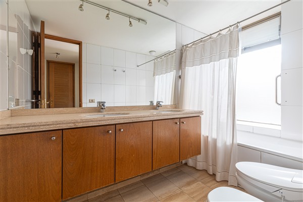 5291